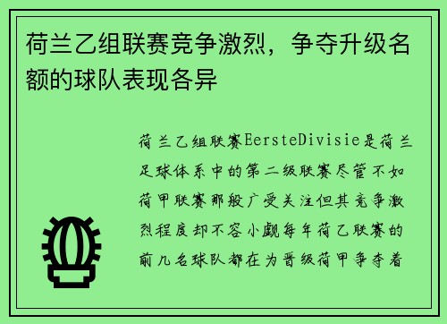 荷兰乙组联赛竞争激烈，争夺升级名额的球队表现各异